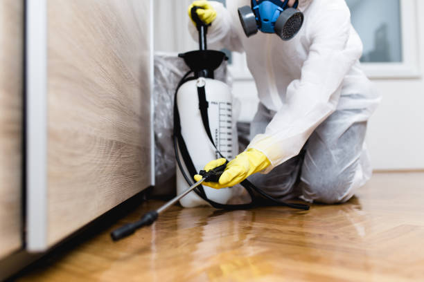Best Termite Control Services  in Braska City, NE