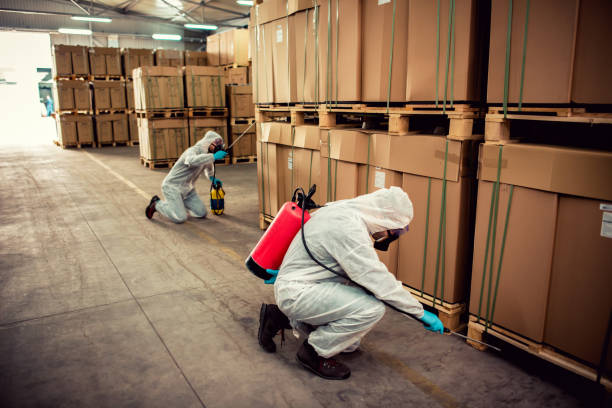 Best Pest Inspection Near Me  in Braska City, NE