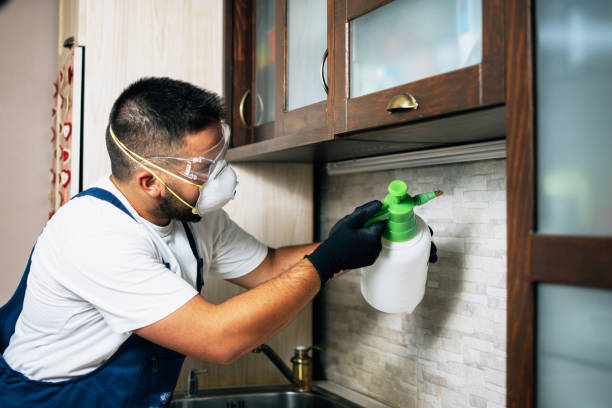 Best Pest Prevention Services  in Braska City, NE