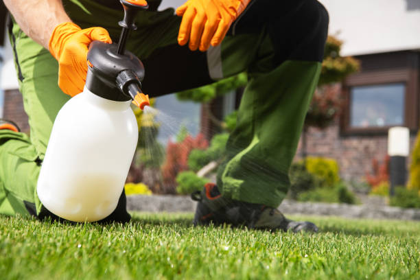 Best Pest Removal Services  in Braska City, NE