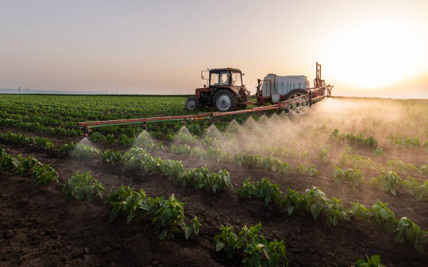 Best Pest Control Cost  in Braska City, NE