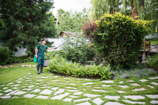 Best Affordable Pest Control Services  in Braska City, NE