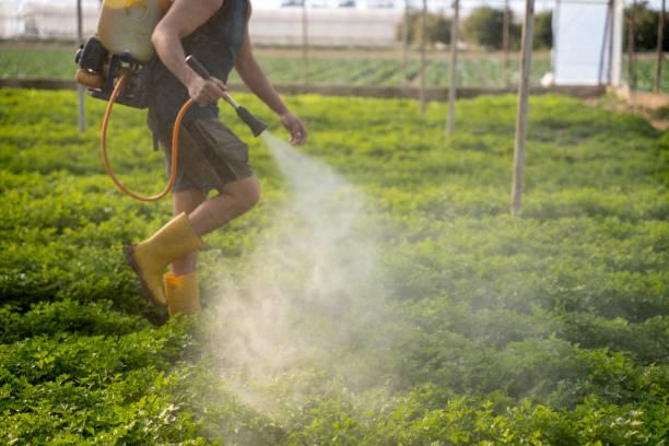 Best Pest Control Near Me  in Braska City, NE