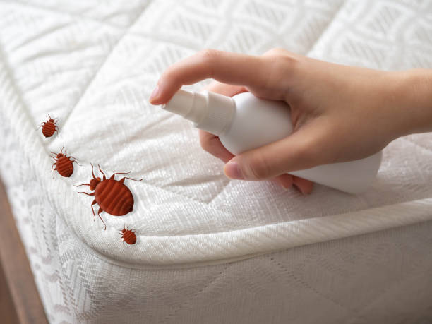 Best Emergency Pest Control  in Braska City, NE