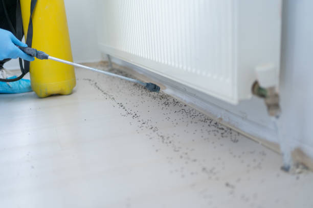 Best Pest Removal Services  in Braska City, NE